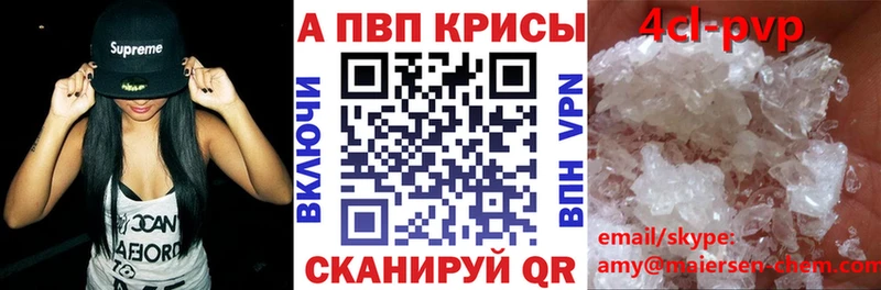 Alfa_PVP крисы CK Олонец