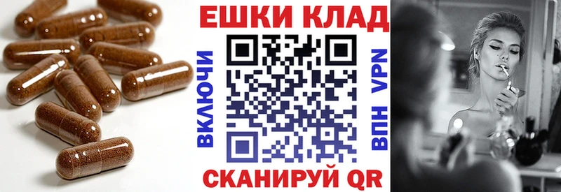 ЭКСТАЗИ Philipp Plein omg Олонец