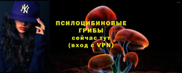 MESCALINE Алзамай