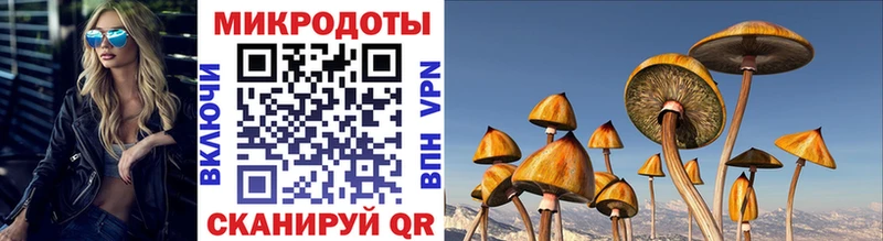 Галлюциногенные грибы MAGIC MUSHROOMS купить наркотик Олонец